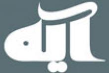 یادنامه مرحوم علی دوانی در همشهری آیه