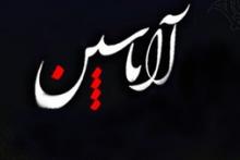 سلام علی آل یاسین...