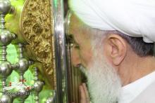 مراسم جشن میلاد فرخنده حضرت محمد هلال بن علی (ع)+گزارش تصویری