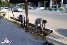 حرکت جهادگرانه اعضای محله عباس آباد در پاکسازی جوی های معابر