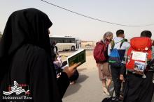 زائران پیاده اربعین در مسیر عشق + گزارش تصویری