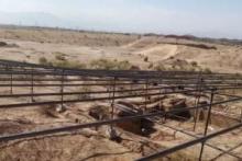 آغاز مرحله اول عملیات ساماندهی سایت تاریخی ویگل آران و بیدگل