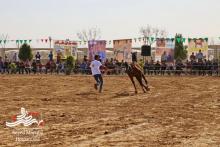 همایش بزرگ اسب + گزارش تصویری