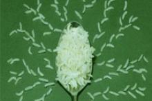 انتشار مجموعه پوسترهای "سبک زندگی"+ دانلود