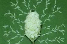 انتشار مجموعه پوسترهای "سبک زندگی"+ دانلود