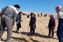 سبزپوشان کویر 