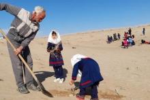 سبزپوشان کویر 