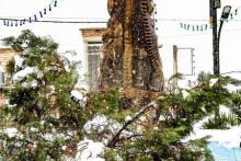 شادی یک روز برفی