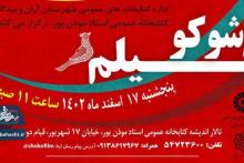 شوکوفیلم‌کتابخانه