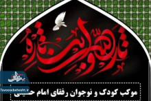 موکب نوجوان حسینی 