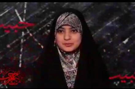 از زندگانی حبیب چیزهایی دیدم که تاکنون نشنیده بودم