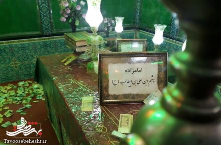 مراسم احیای شب قدر در حرم امامزاده هاشم بن علی (ع)+گزارش تصویری