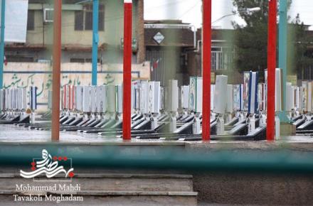 تا شقایق هست زندگی باید کرد