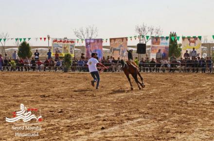 همایش بزرگ اسب + گزارش تصویری