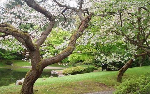 وقتي بهار را ديديد به ياد معاد باشيد