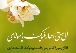 طرح‌های خانه طراحان برای نیمه شعبان