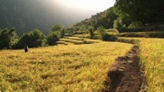 "مشتی اسماعیل"بهترین مستند جشنواره مستندجهان