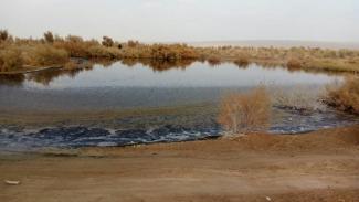 پساب خروجی فولاد کویر دارای سختی و آلودگی بالا