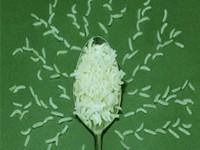 انتشار مجموعه پوسترهای "سبک زندگی"+ دانلود