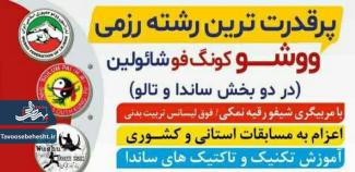 آموزش پرقدرت ترین رشته رزمی ووشـو کونگ فو شائولین